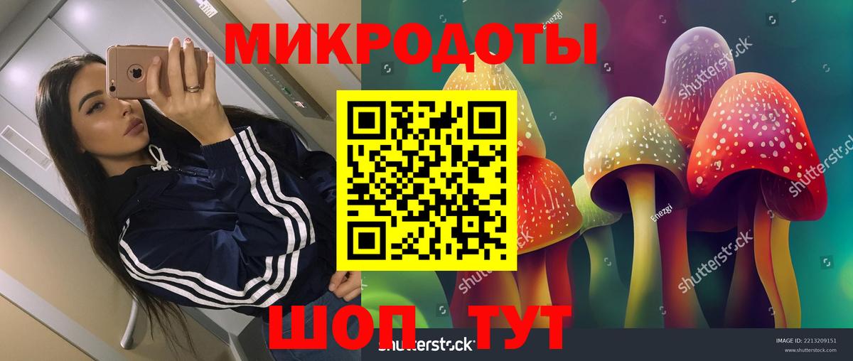 Псилоцибиновые грибы мухоморы Красноярск